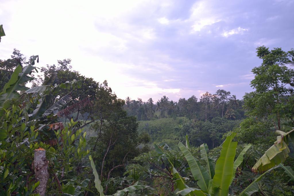 Apartament Pondok Bali Ubud Zewnętrze zdjęcie