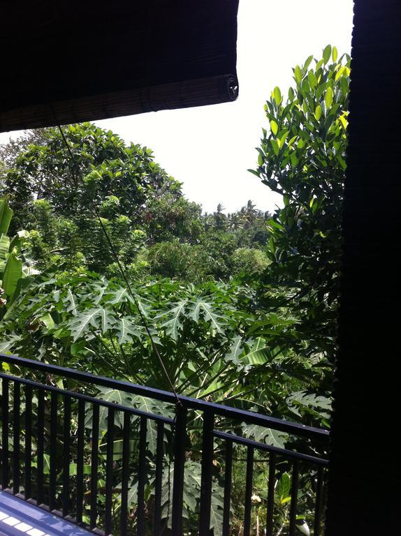 Pondok Bali Ubud Zewnętrze zdjęcie