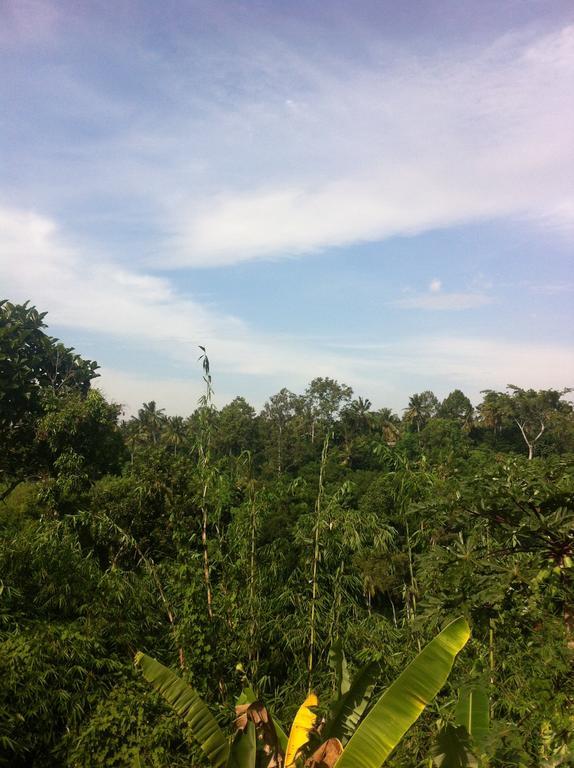 Pondok Bali Ubud Zewnętrze zdjęcie